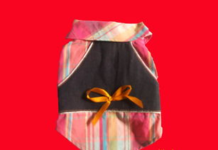 青岛、威海、上海高档宠物服饰用品供应全解析